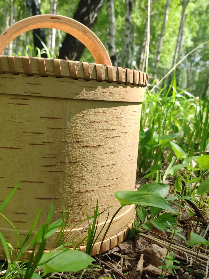 Birch bark box, wood box