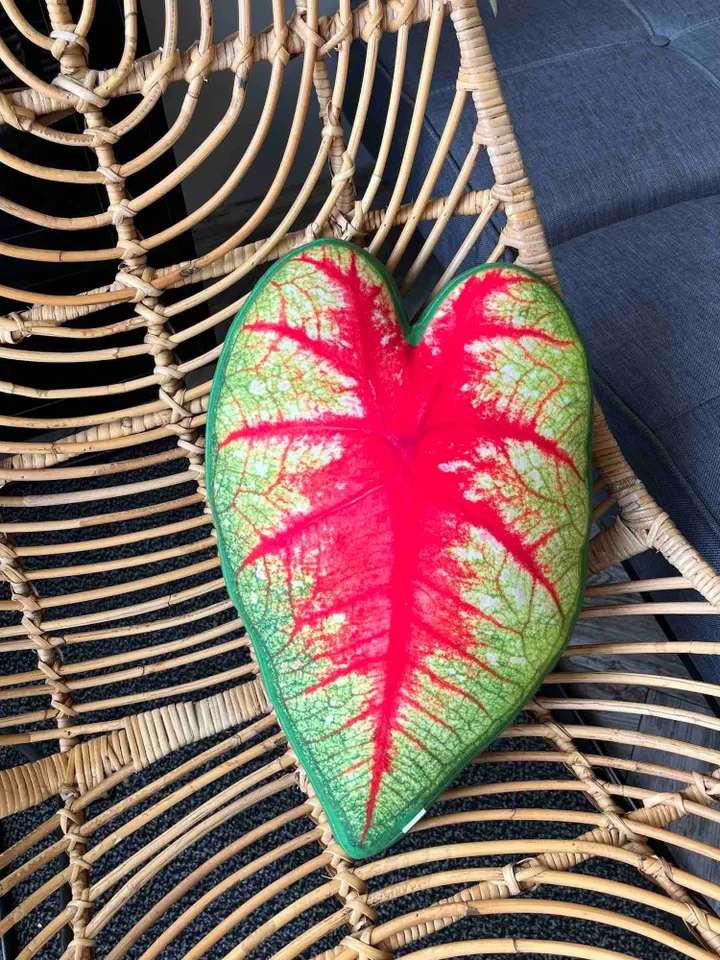 Caladium bicolor leaf pillow / Caladium pillow / plant lover gift / plant pillow / leaf pillow / urban jungle decor