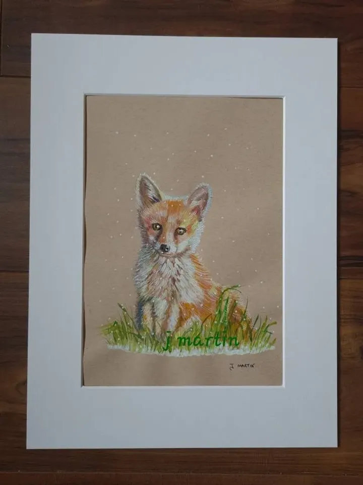 Fox cub, Red Fox, mounted, unframed