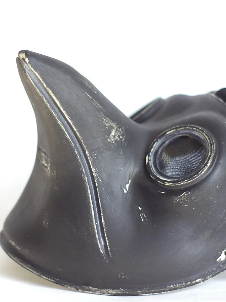 Plague Doctor mask Medieval Mask Cosplay Steampunk Bird Reaper Hood Custom made Custom plague mask Mesh Eye Lens