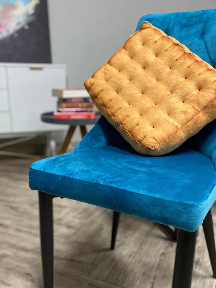 Biscuit pillow / Plush Biscuit / tea biscuit / cookie pillow /  funny cat bed / biscuit seat / food pillow / giant biscuit