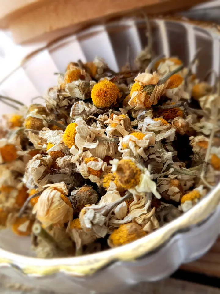 Chamomile Tea | Organic Daisy Flowers, Natural Chamomile Tea, Healthy Herbal Tea, Dried Daisy Flowers, Dried Chamomile Flowers, Wild Harvest