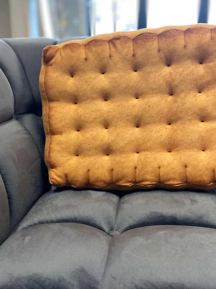 Biscuit pillow / Plush Biscuit / tea biscuit / cookie pillow /  funny cat bed / biscuit seat / food pillow / giant biscuit
