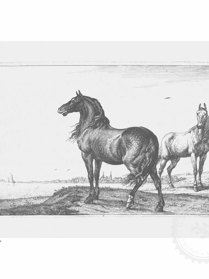 Horses Sketch Art Vintage Print, Antique Minimalist Drawing, Neutral Printable Wall Art, Digital Downloadable | 207