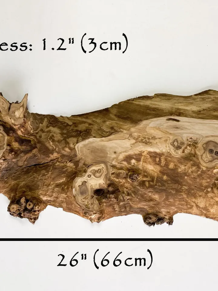 Russian Olive Wood Slab, 26"x12"x1.2" Live Edge Wood Slab, Epoxy Resin Wood, Raw Edge Wood