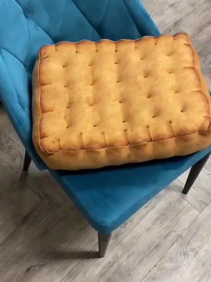 Biscuit pillow / Plush Biscuit / tea biscuit / cookie pillow /  funny cat bed / biscuit seat / food pillow / giant biscuit