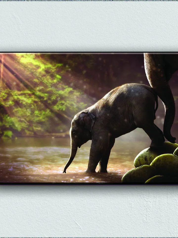 Baby Elephant Print on Canvas , Floating Frame Option, Modern Wall Art, Extra Large Canvas Wall Art