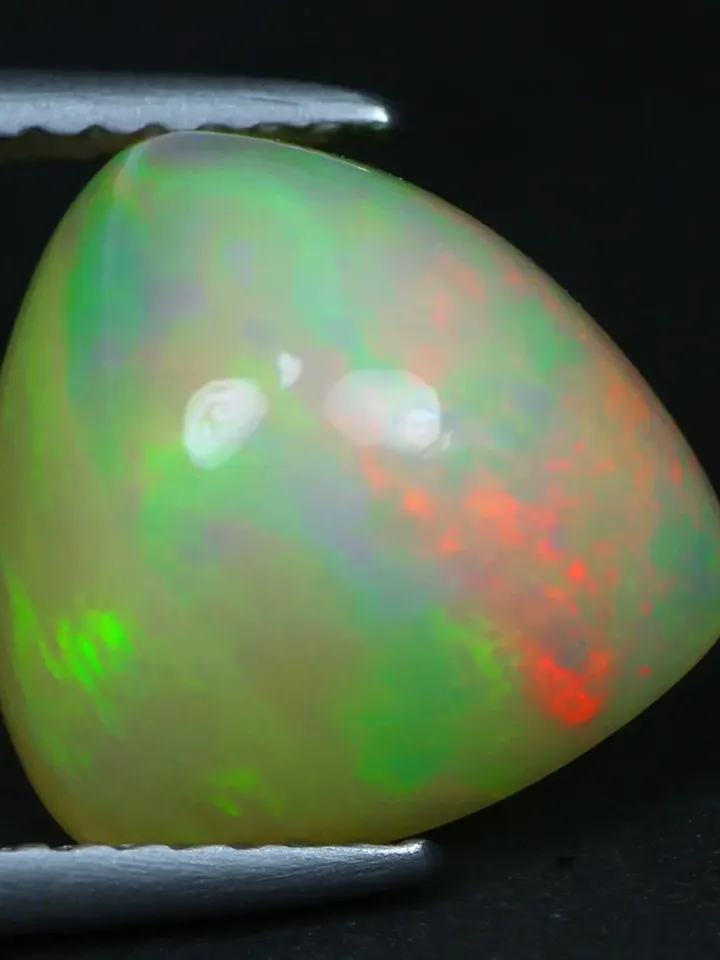 3.46 CT World Class ! 360 Degree 3d Floral Harlequin Rainbow Welo Rainbow Opal