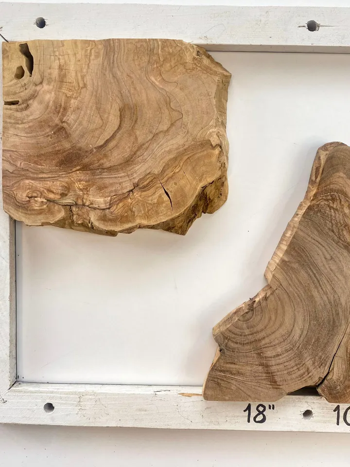 Olive Wood Cookies, 18"x10"x1.2" Live Edge Wood Slab, Epoxy Resin Wood, Raw Edge, Burl Wood, READY TO SHIP