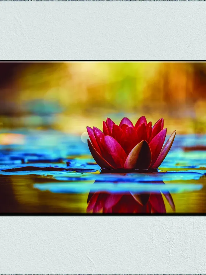 Lotus flower Print on Canvas , Floating Frame Option, Modern Wall Art, Extra Large Canvas Wall Art