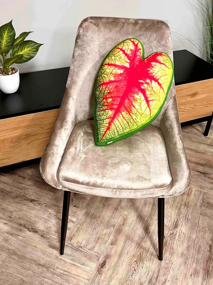 Caladium bicolor leaf pillow / Caladium pillow / plant lover gift / plant pillow / leaf pillow / urban jungle decor