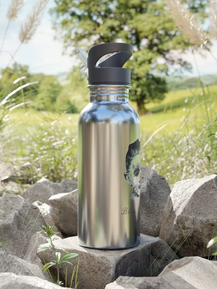 Customizable Stainless Steel Water Bottle With Straw, 20oz