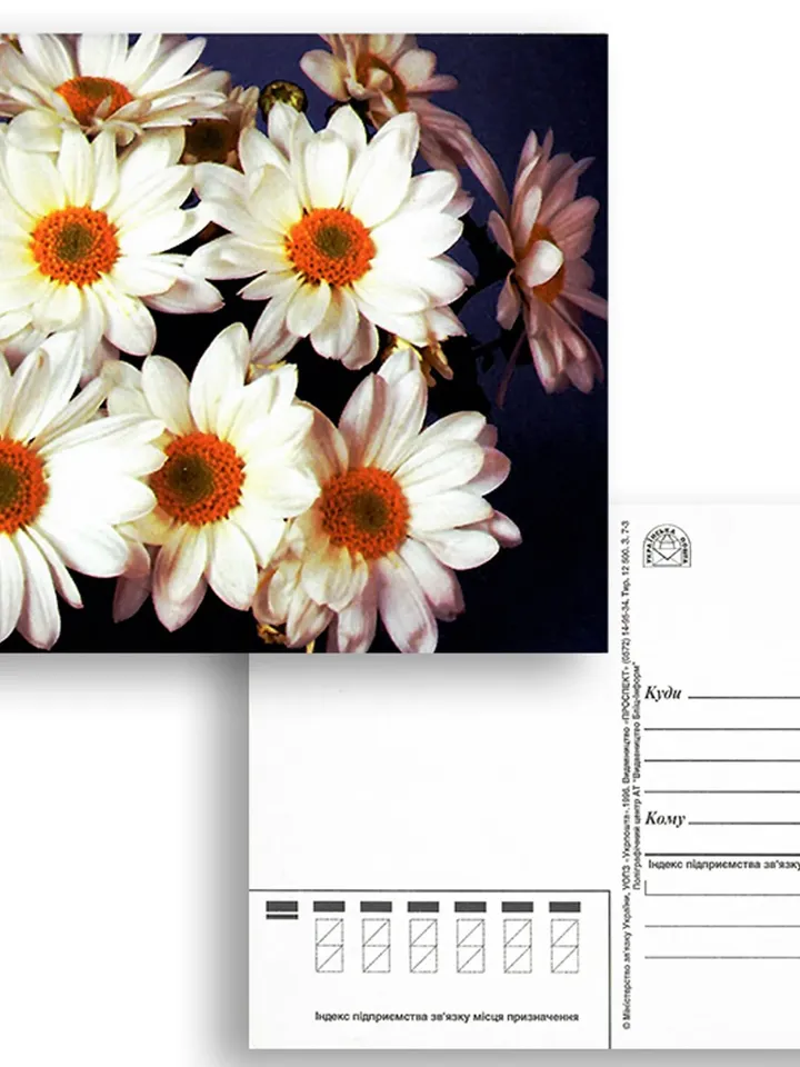 Set of 8 vintage postcards with flower arrangements, the 90s. Daisies, roses, tulips, orchids, and lilies are on the postcards