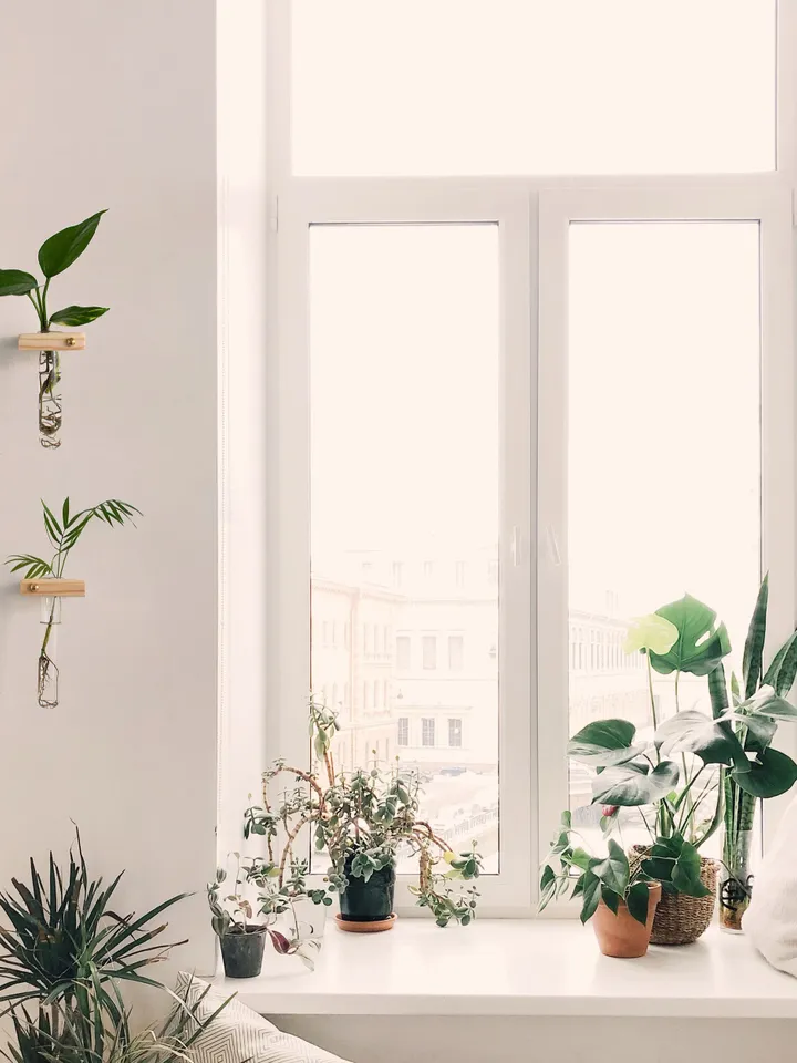 Plant Propagation Wall Hanging, Propagation Station Wall, Test Tube Planter, Wall Hanging Propagation, Wall Plant Hanger, Wall Plant Holder
