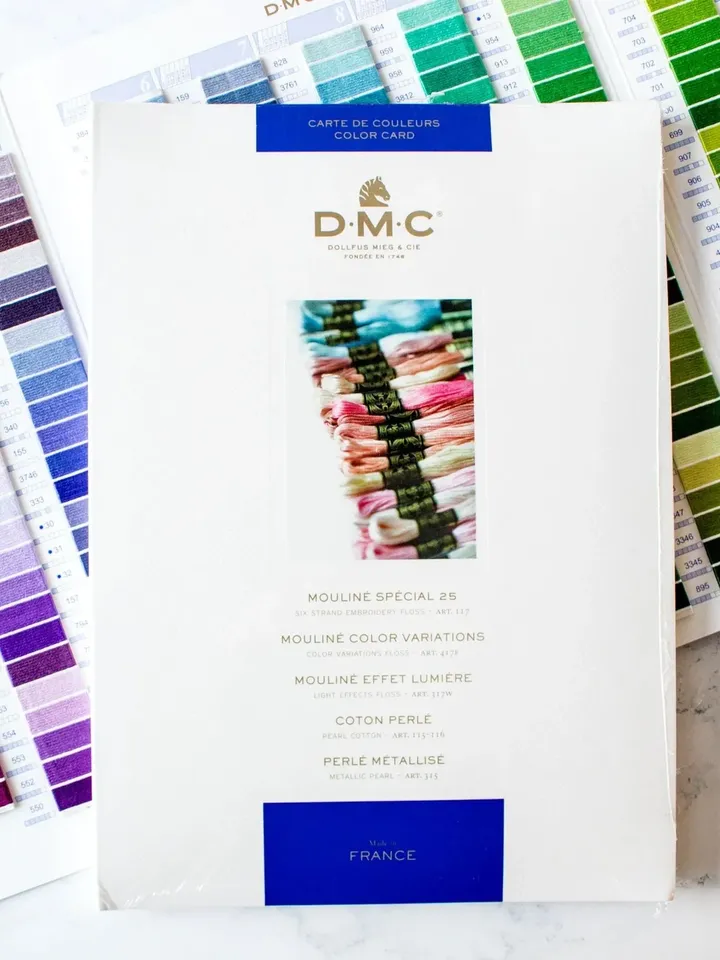 DMC Floss Color Card - REAL Thread Floss RARE - W100B