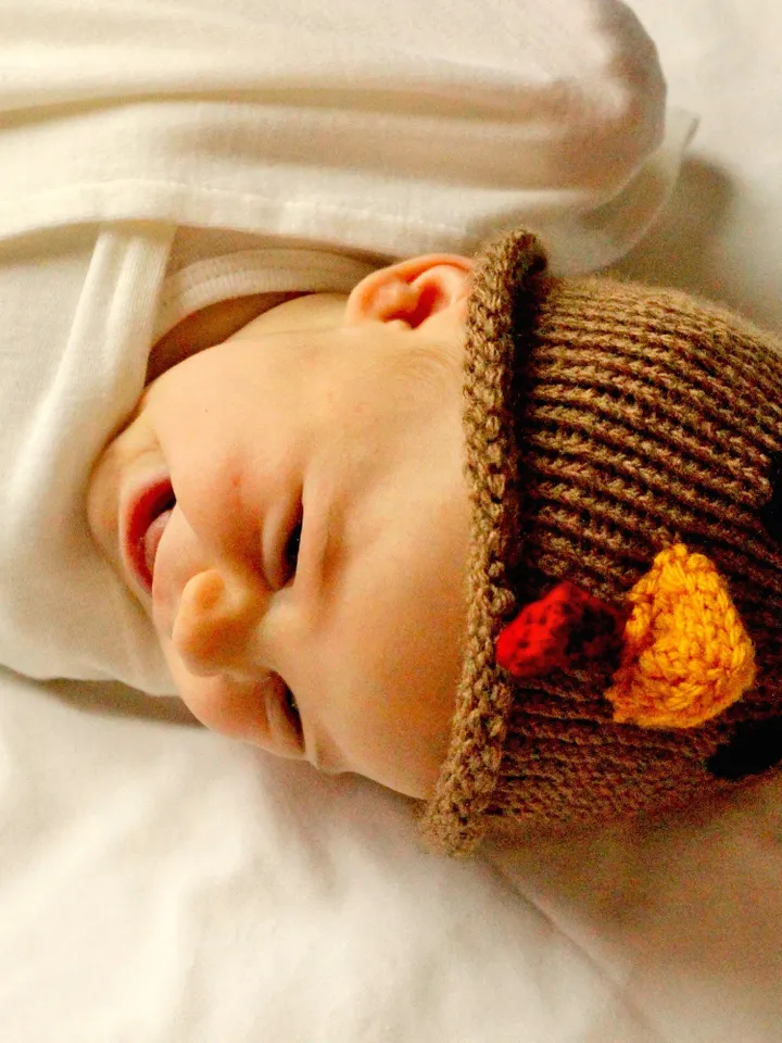 Knit Brown Turkey Beanie Hat, Thanksgiving Dinner Costume, Children Halloween Trick or Treat, Crochet Beanies, Newborn Crib Hat, Kids Beanie