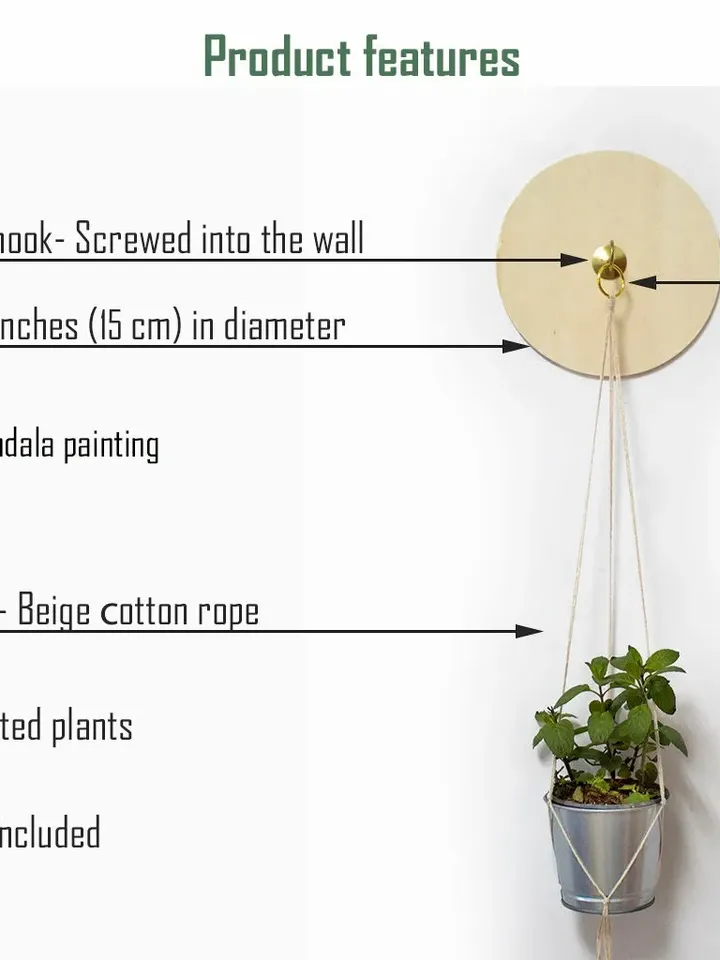All In One Wall Hook For Hanging Planter Indoor Or Outdoor Wall plant holder Metal And Wood Wall Planter Hook Modern planter hanger