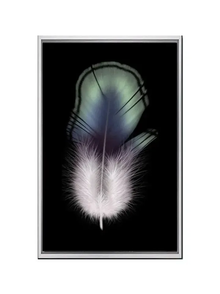 Feather Print on Canvas , Floating Frame Option, Modern Wall Art, Extra Large Canvas Wall Art