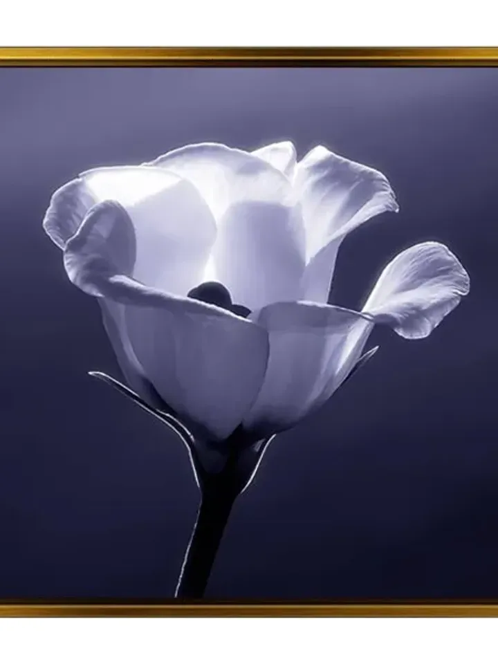 Flower Print on Canvas , Floating Frame Option, Modern Wall Art, Extra Large Canvas Wall Art