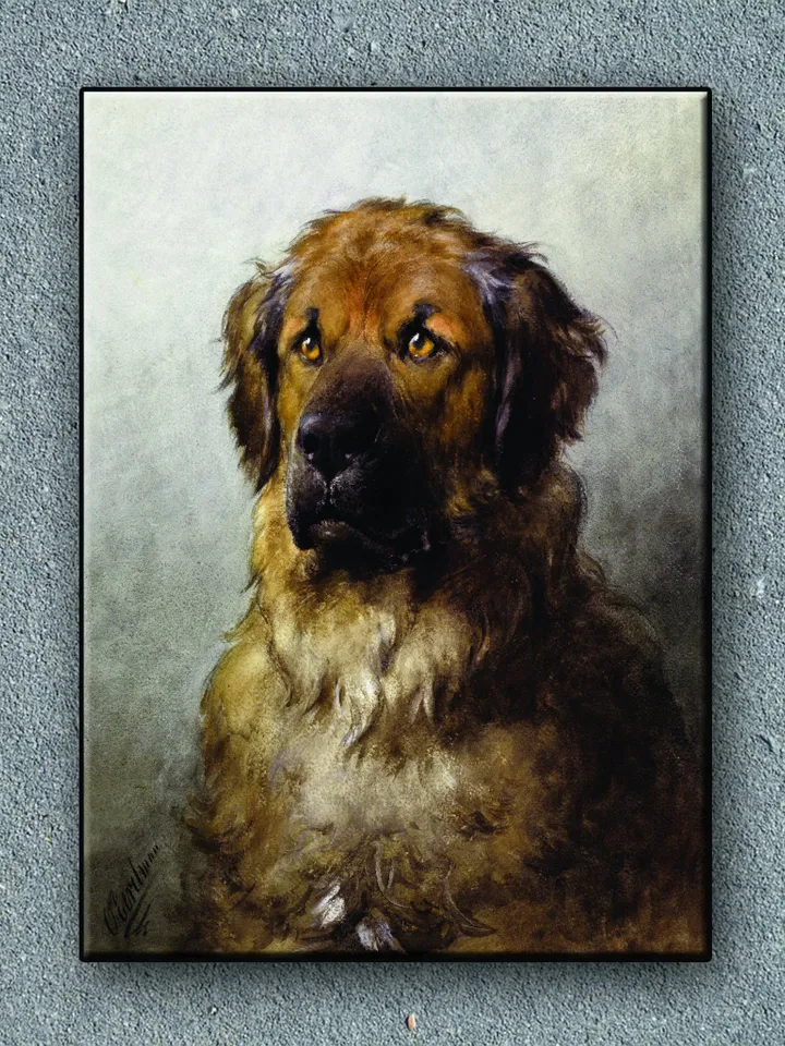 Dog Print on Canvas , Floating Frame Option, Modern Wall Art, Extra Large Canvas Wall Art