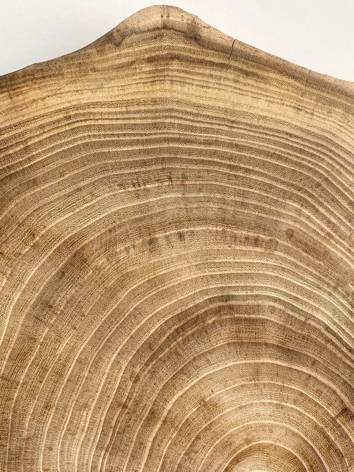 Live Edge Acacia Wood Slab, 13"x13"x1" Raw Edge Wood, Epoxy Resin Wood, Tree Slice, Live Edge Slabs
