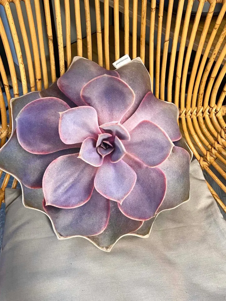 small Succulent pillow /  echeveria pillow / Perle von Nürnberg succulent / succulent cushion / plant pillow / purple succulent