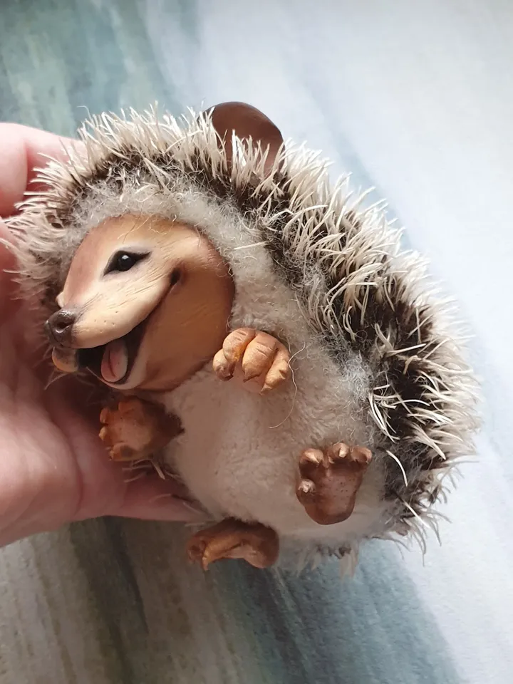 Hedgehog. Cute hedgehog on the back. A gift for a lover of hedgehogs. The most beautiful hedgehog