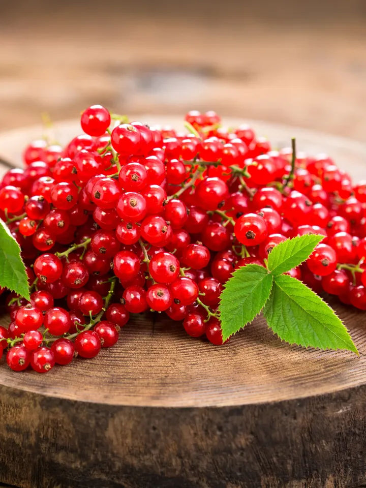Whole Red Currant Dried 1000 gr ( 35.27oz )