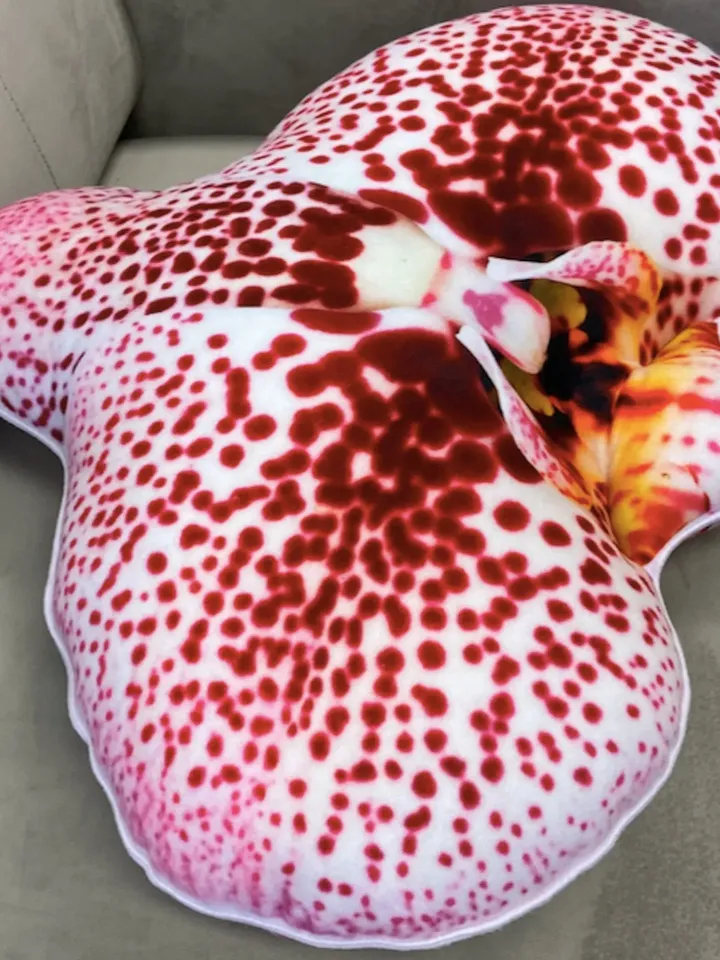 small Orchid pillow / orchids / flower pillow / Phalaenopsis / Orchidaceae / orchidée / flower houseplant / plant lover/ flower decor