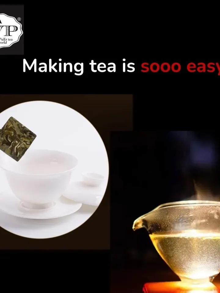 White Tea PEONY FAIRY™ Bai Mu Dan 1823 mini tea bricks 12s 72g