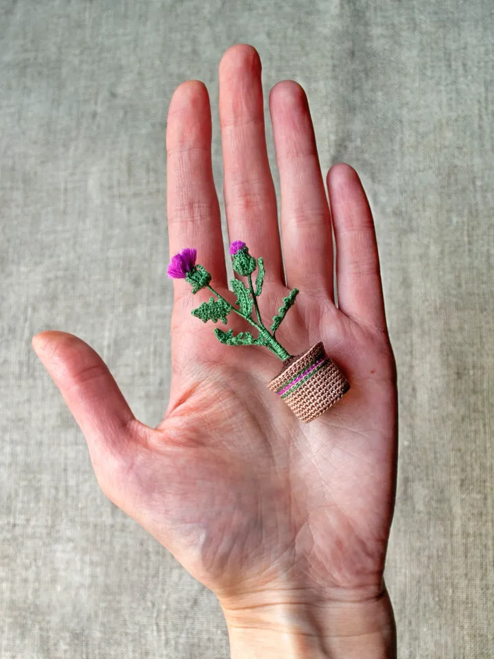 Crochet THISTLE in a pot, Scottish Thistle flowers, Fairy garden miniature, Flower present, Thank you gift, Meaning gift