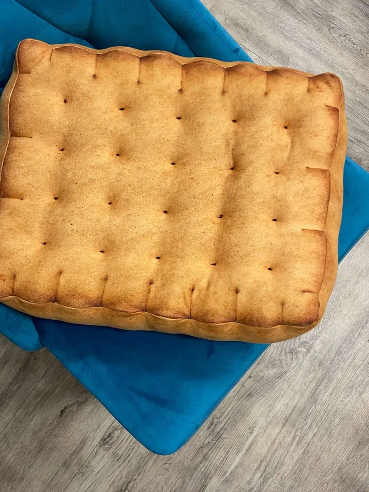Biscuit pillow / Plush Biscuit / tea biscuit / cookie pillow /  funny cat bed / biscuit seat / food pillow / giant biscuit