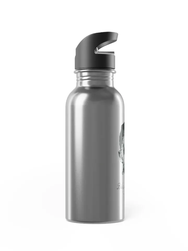 Customizable Stainless Steel Water Bottle With Straw, 20oz