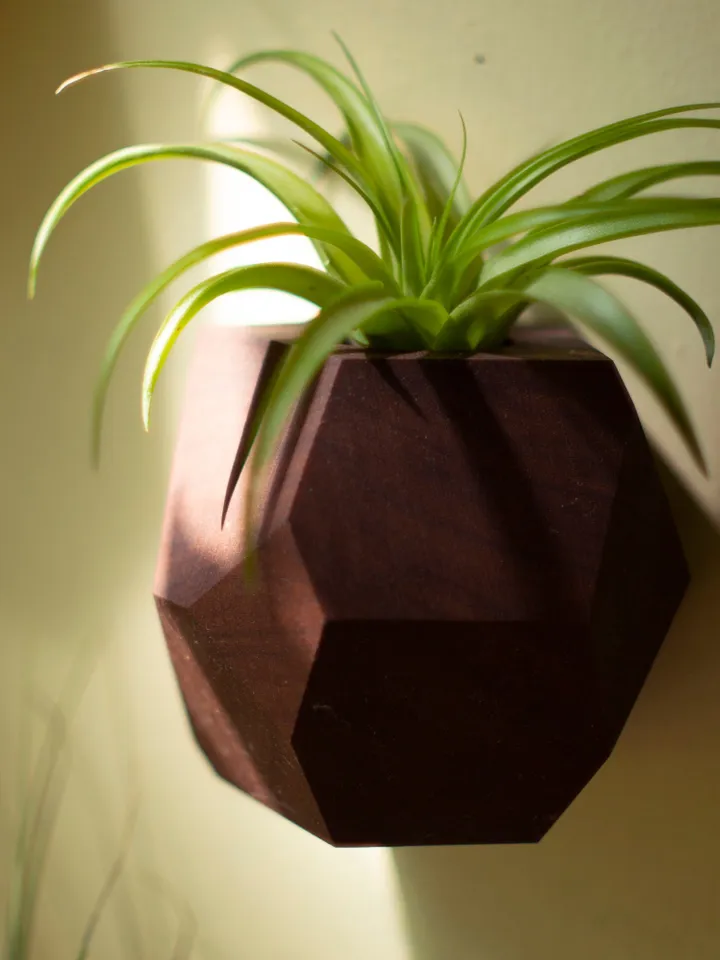 Bundle Set - Set of Five Wood Geometric Air Plant Holders - Bundle and Save! 5 different shapes, different species of wood