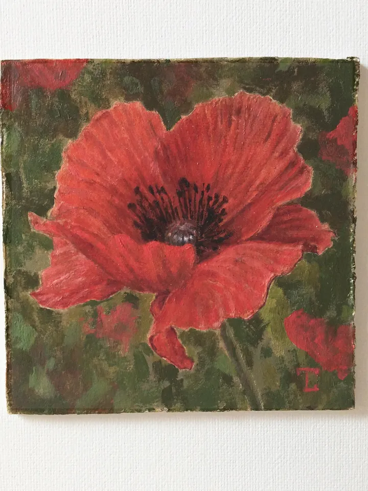 "Poppy" oil small painting flower stilllife original wall art picture artwork floral