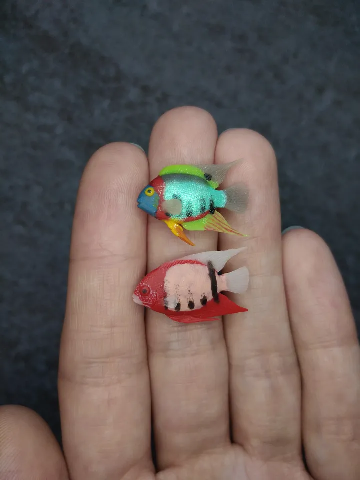 Set of miniature aquarium fish 25 pcs, tiny fish for diorama, dollhouse or resin art