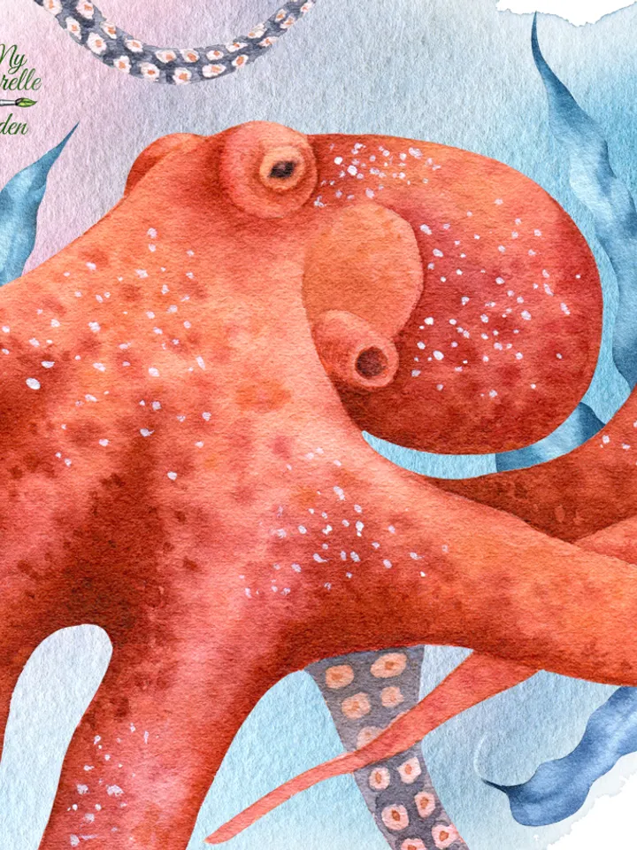 Sea animals. Under the sea. Watercolor hand-painted (not AI!) clipart. Whale, crab, goldfish, seahorse, turtle, octopus, seagrass. Decoration. Printable PNG. Instant download