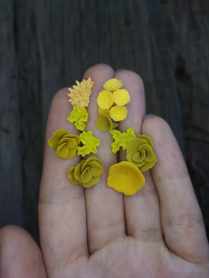 Set of miniature corals shades of yellow, tiny corals for diorama, dollhouse or resin art