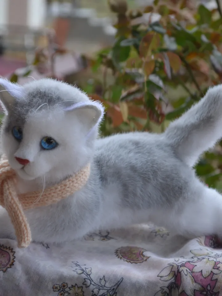 Kitten Marie