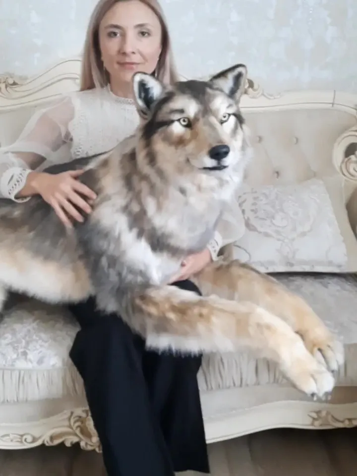 Big Wolf. Hero of the fairy tale "Little Red Riding Hood"