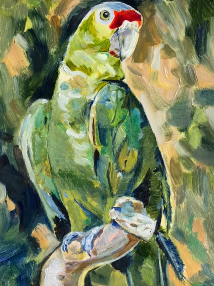 Parrot original oil painting bird portrait modern painting wall art 9x6 inches