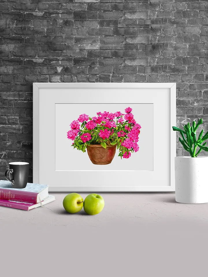Watercolor botanical clipart, Bright pink flowers in a pot, 2 Digital files PNG and JPEG on transparent and white background, Flower clipart for garden design