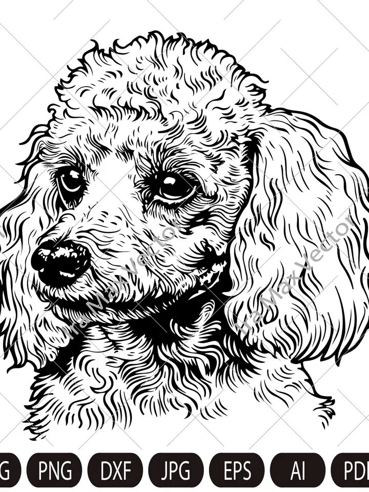Toy Poodle Svg, Toy Poodle Clipart, Poodle Png, Poodle Head, Poodle Cut Files, Poodle Silhouette, Dog toy Silhouette