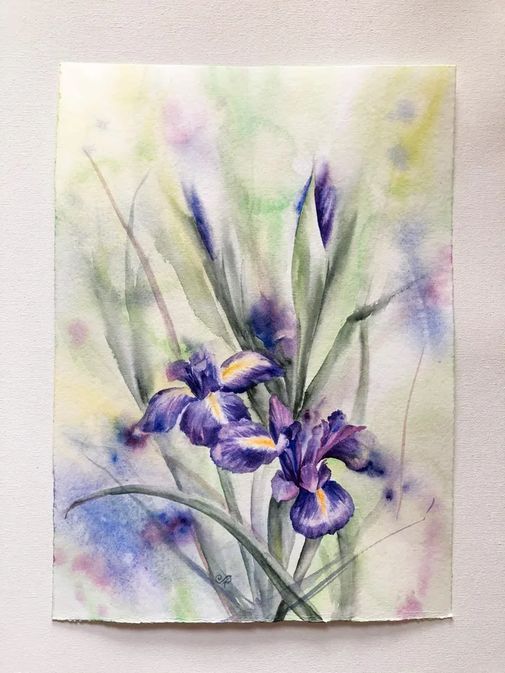 Flowers Original Painting Iris Painting Floral Watercolor Wall Art
