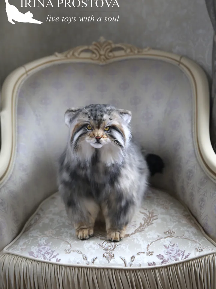 Pallas cat Nusha realistic plush animals. Ooak toy. Realistic manul stuffed toy (READY TO SHIP)