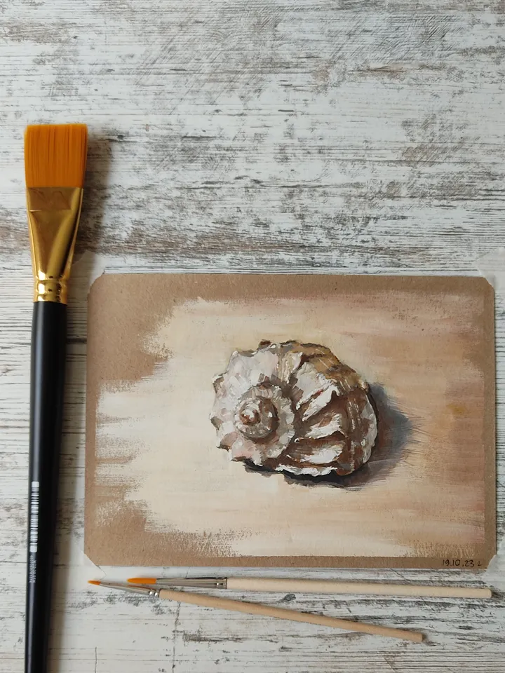 Seashell. Original gouache painting.