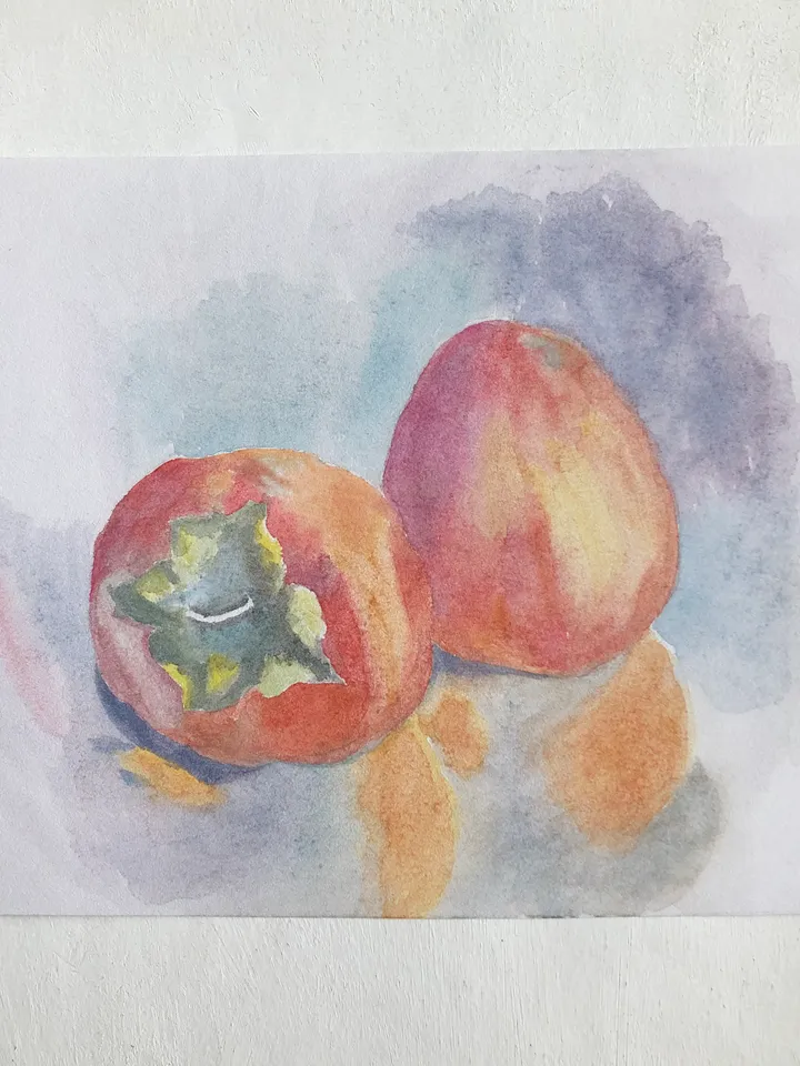 Persimmon original watercolour painting wall art fruit modern painting hand painted paper size 7x9 inches