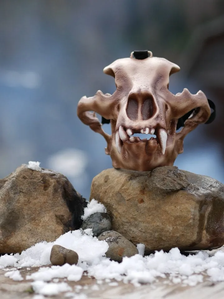 Bear Skull Mask, Realistic face Mask, Horror Mask, Animal Skull Mask, resin skull mask, realistic bear mask, burning man mask, shamanic mask
