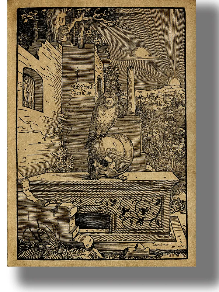 Allegory with an owl. Cemetery bird, human skull and gravestone.