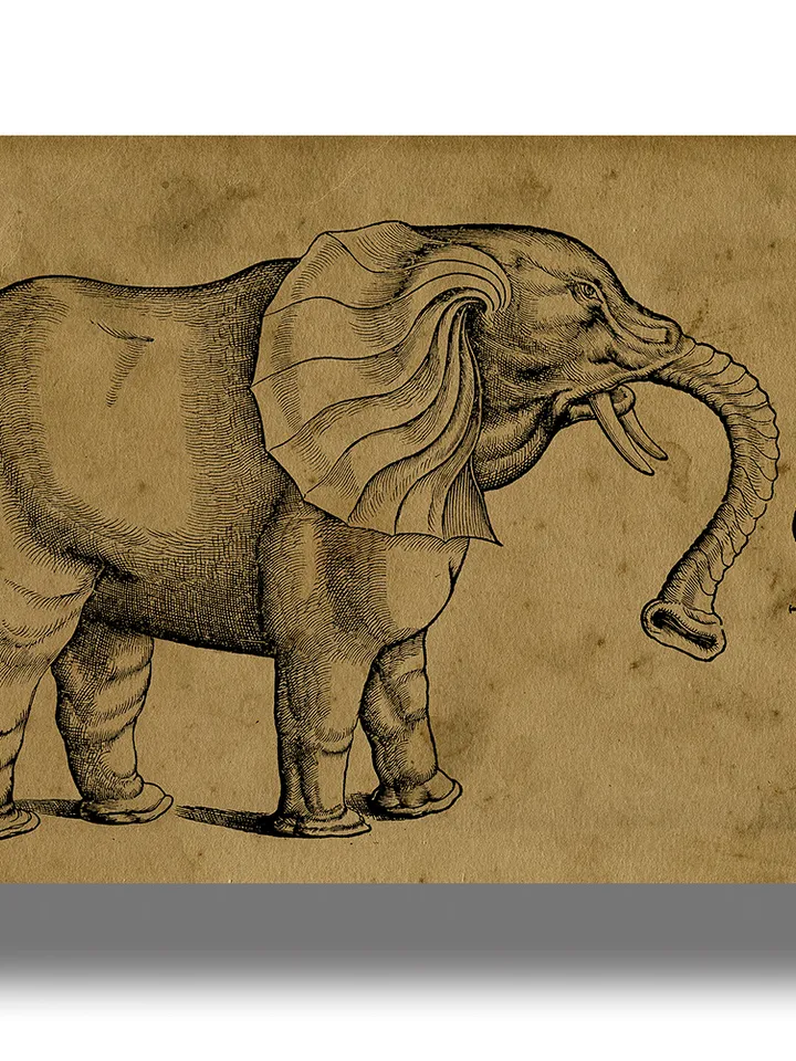 Illustration of an elephant from an ancient bestiary.
